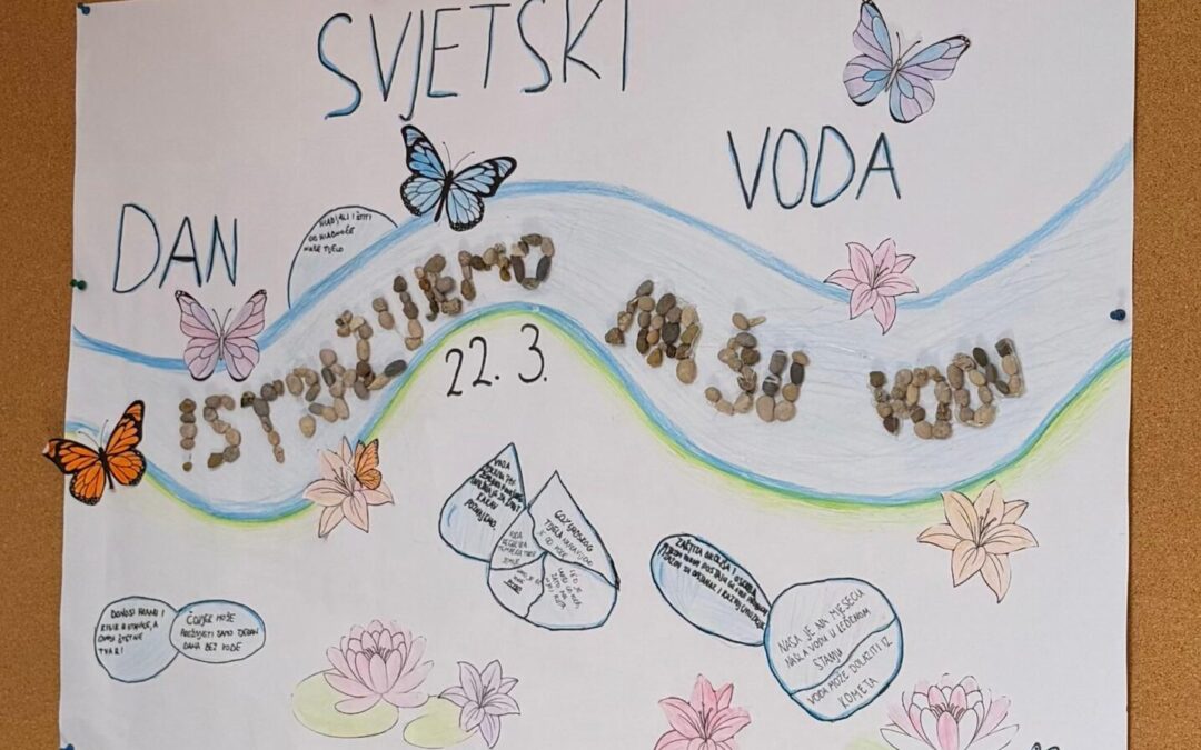 O projektu